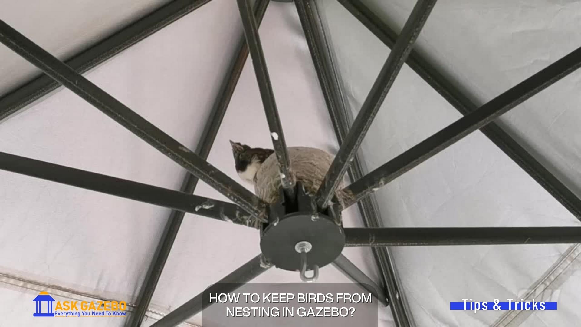 how to keep birds from nesting in gazebo