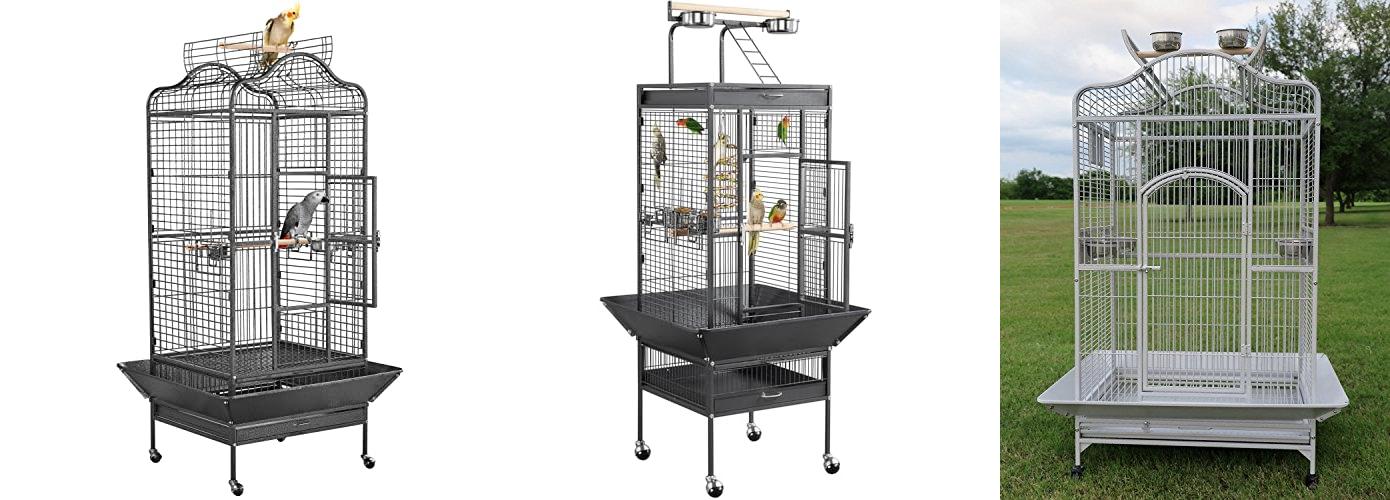5 Best Parrot Cages: Expert Reviews & Guide to the Perfect Home