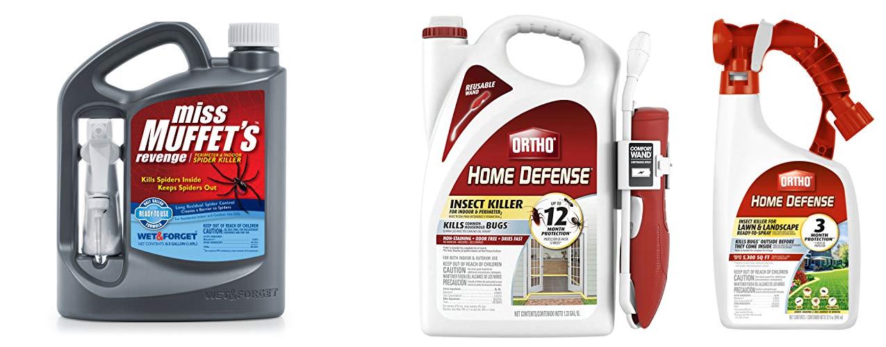 Best Outdoor Spider Killer Top 5 Picks Review