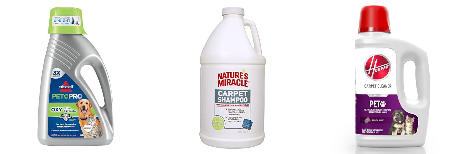 Best Carpet Cleaner Solutions For Pets: Top 5
