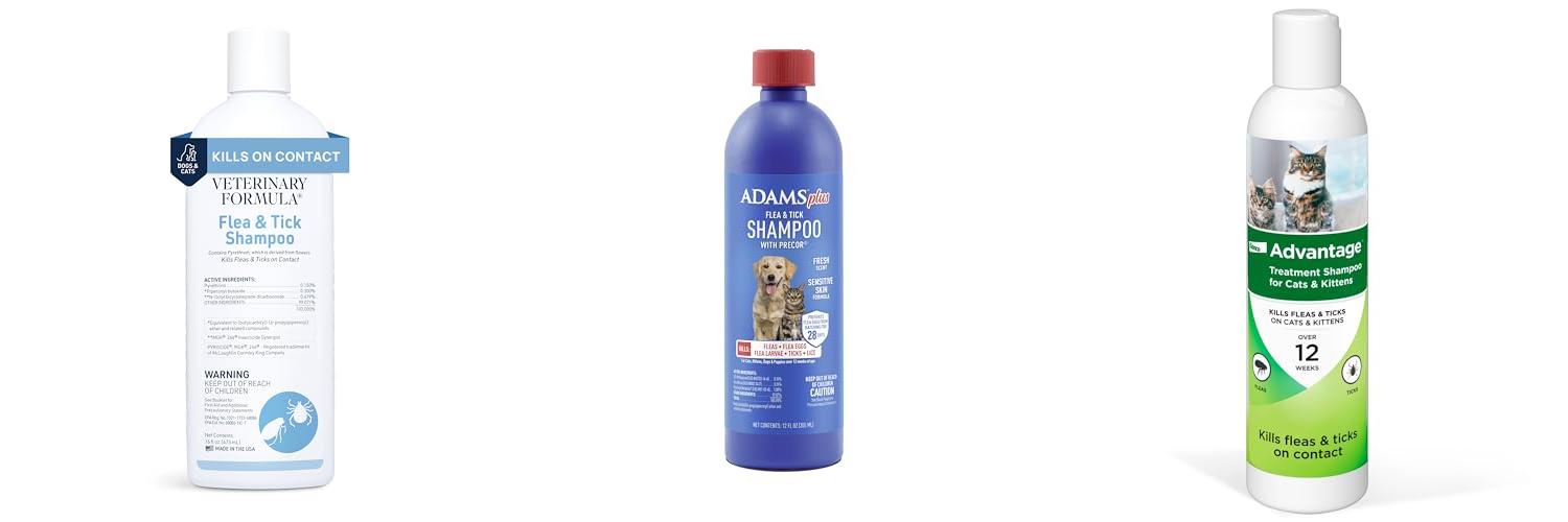 Should I Use Flea Shampoo On My Cat? - The Dodo - Being Cautious When Using Flea And Mite Shampoo For Cats